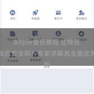 Bitpie备份教程 比特派钱包安全吗？专家详解其全面优势