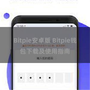 Bitpie安卓版 Bitpie钱包下载及使用指南