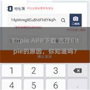 Bitpie APP下载 选择Bitpie的原因，你知道吗？