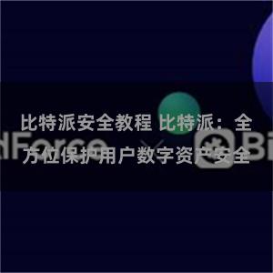 比特派安全教程 比特派：全方位保护用户数字资产安全