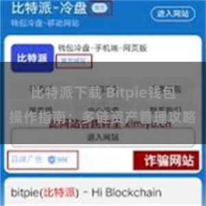 比特派下载 Bitpie钱包操作指南：多链资产管理攻略