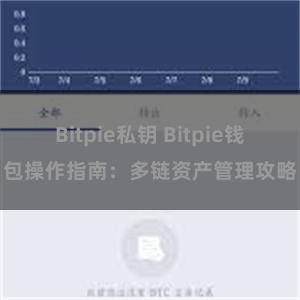 Bitpie私钥 Bitpie钱包操作指南：多链资产管理攻略