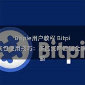 Bitpie用户教程 Bitpie钱包使用技巧：多链资产管理全攻略