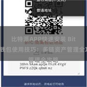 比特派APP快速安装 Bitpie钱包使用技巧：多链资产管理全攻略