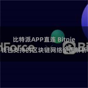 比特派APP直连 Bitpie钱包支持的区块链网络全面解析