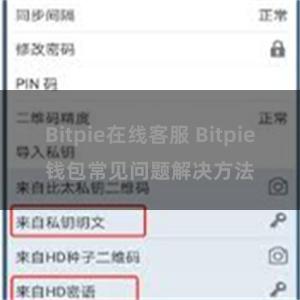 Bitpie在线客服 Bitpie钱包常见问题解决方法