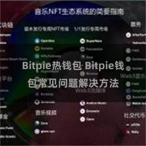 Bitpie热钱包 Bitpie钱包常见问题解决方法