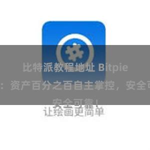 比特派教程地址 Bitpie钱包：资产百分之百自主掌控，安全可靠！