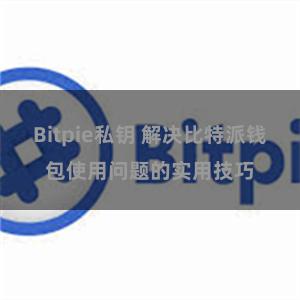 Bitpie私钥 解决比特派钱包使用问题的实用技巧