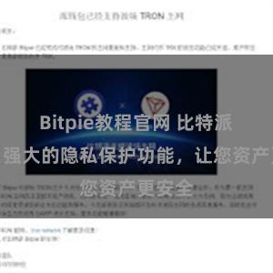 Bitpie教程官网 比特派钱包：强大的隐私保护功能，让您资产更安全