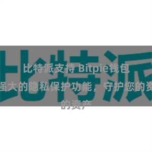 比特派支持 Bitpie钱包：强大的隐私保护功能，守护您的资产