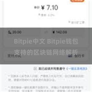 Bitpie中文 Bitpie钱包支持的区块链网络解析