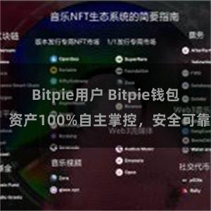 Bitpie用户 Bitpie钱包：资产100%自主掌控，安全可靠。