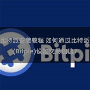 比特派安装教程 如何通过比特派(Bitpie)设置交易加速？