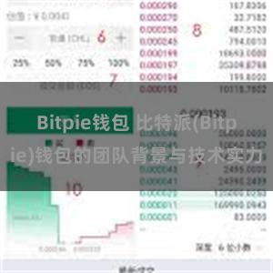 Bitpie钱包 比特派(Bitpie)钱包的团队背景与技术实力