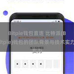 Bitpie钱包直连 比特派(Bitpie)钱包的团队背景与技术实力