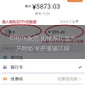 Bitpie系统 比特派钱包用户隐私保护措施详解