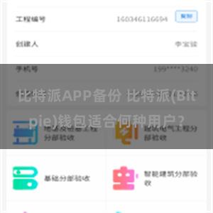 比特派APP备份 比特派(Bitpie)钱包适合何种用户？