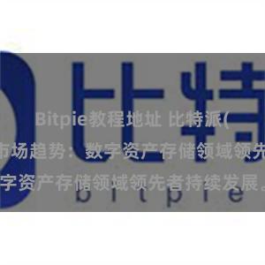 Bitpie教程地址 比特派(Bitpie)钱包市场趋势：数字资产存储领域领先者持续发展。